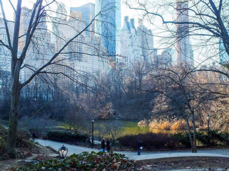Central Park - Central park