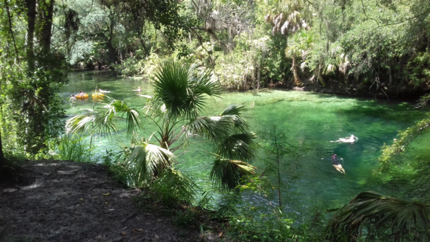 Florida - blue spring state park