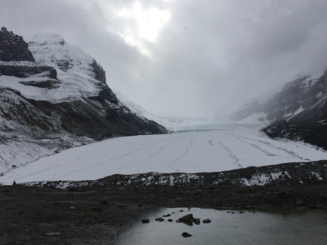 Rocky Mountains - Athabascagletsjer