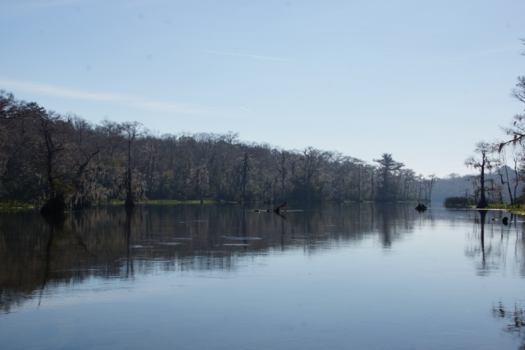 Florida - Adembenemend uitzicht bij het Edward Ball Wakulla Springs State Park