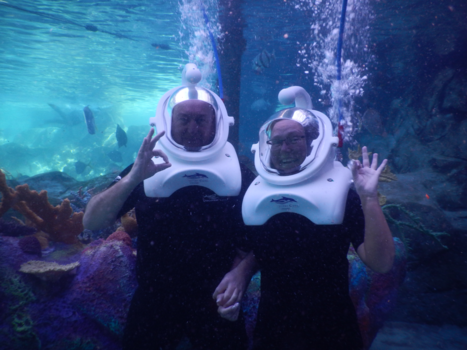 Florida - SeaVenture in Discovery Cove