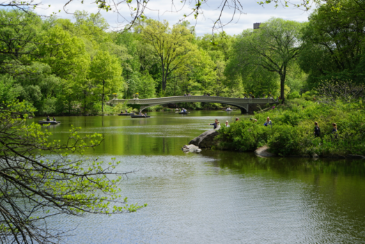 Times Square - Central parc