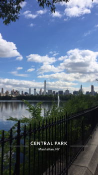 New York - Central parcs