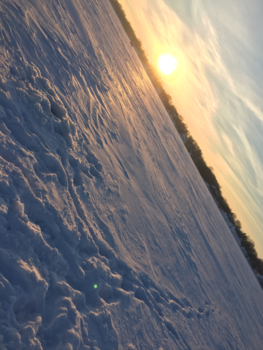 Minnesota - Eagel lake