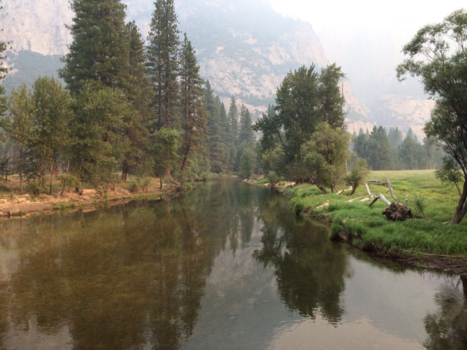 Yosemite National Park - Adembenemend mooi