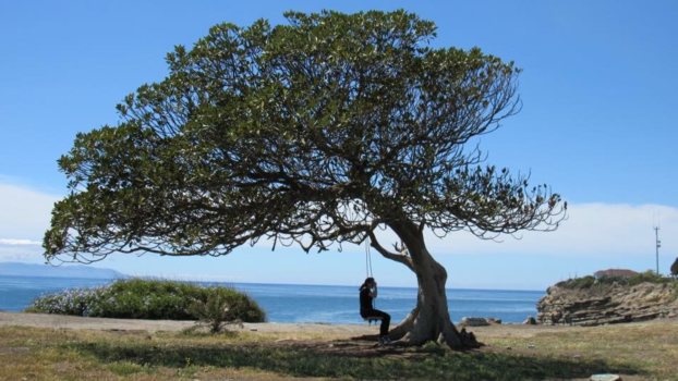 Los Angeles - Chillin in San Pedro