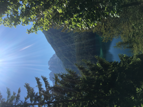 Yosemite National Park - A perfect day in yosimite national park