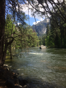 Yosemite National Park - Yosemite National Park