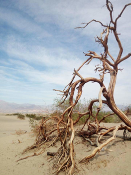 Bryce Canyon National Park - Death Valley