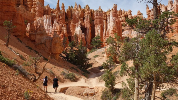 Bryce Canyon National Park - Fairy tale on Queens Garden Trail, Bryce Canyon