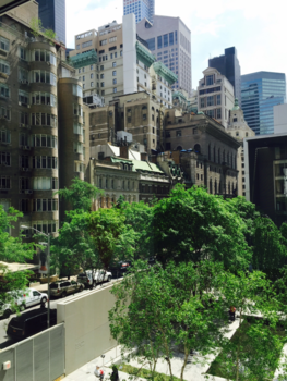 New York - Nature in the city