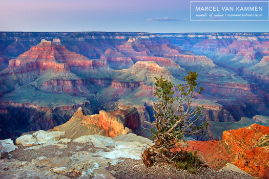Grand Canyon National Park - Grand Canyon