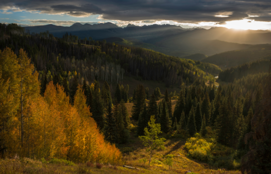 Rocky Mountains - De Gore range, Vail, Colorado.