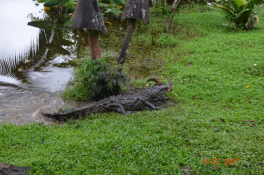 Rondreis Alaska - Real National Geografic