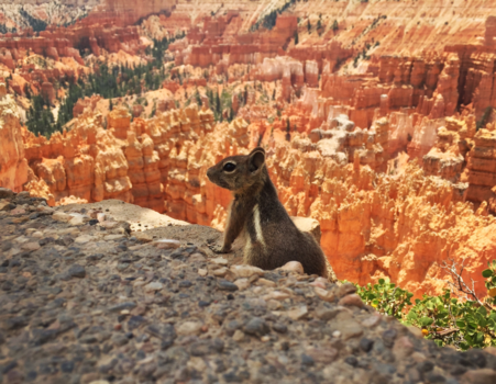 Bryce Canyon National Park - Living on the edge