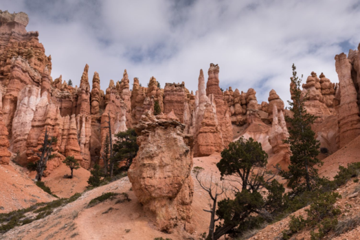 Bryce Canyon National Park - Navajo & queens garden loop trail @ Bryce Canyon
