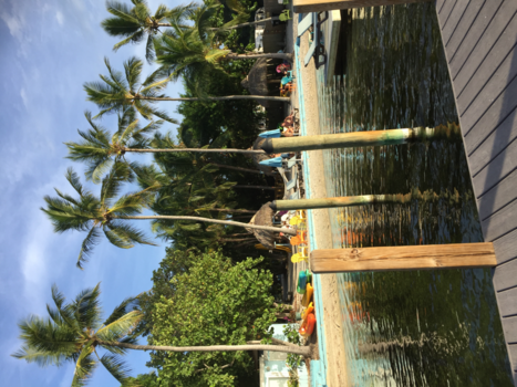 Rondreis Highlights of Florida - Key Largo