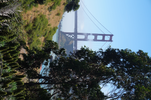 Golden Gate Bridge - bridge