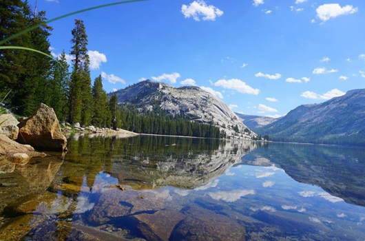 Yosemite National Park - Droom weg in de weerspiegeling van Yosemite!