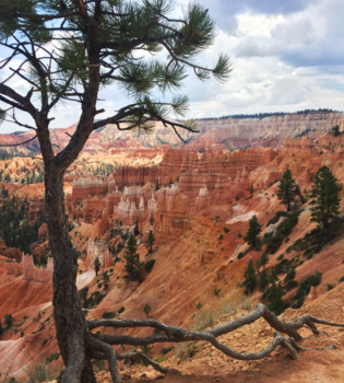 Bryce Canyon National Park - Bryce Canyon uitzicht
