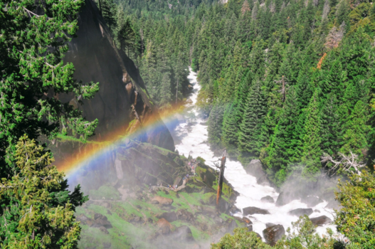 Yosemite National Park - Yosemite NP