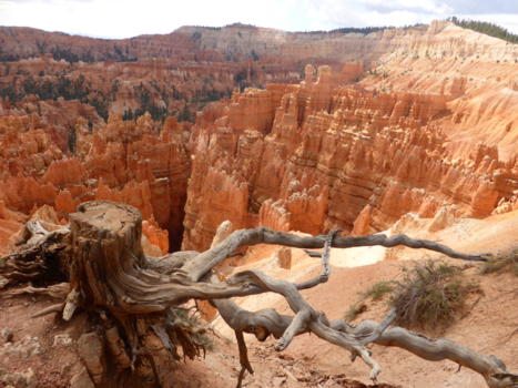 Bryce Canyon National Park - Bryce Canyon