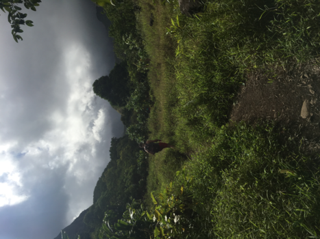 Hawaii - Maui, Hawaï