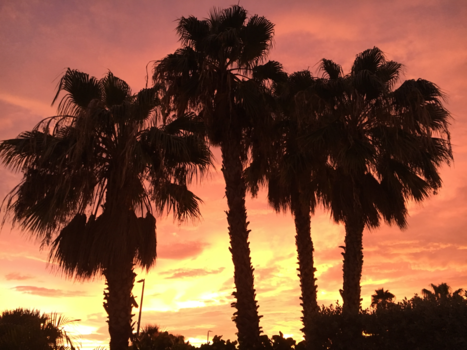 Florida - Best sunset ever