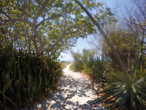 Florida - Ultiem geluk