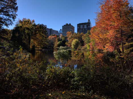 Central Park - Autumn olours in the Park