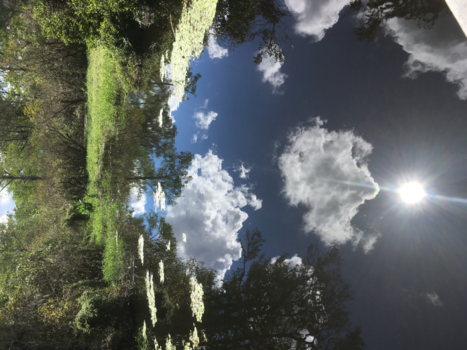 Florida - Everglades, kirby.