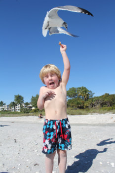 Florida - Broodje delen