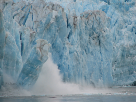 Alaska - Op het juiste moment geschoten...