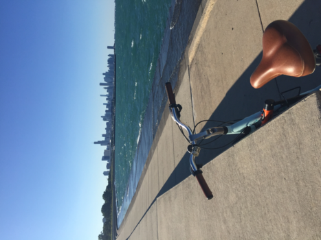 Chicago - Feeling zelf- Reliantstadion and independent at Lake Michigan