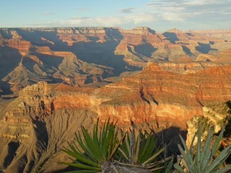 Rondreis Westkust Amerika - Grand Canyon