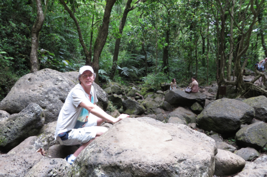 Honolulu - Manoa Falls