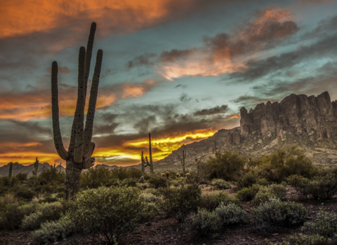 Arizona - Psychedelic Sunset