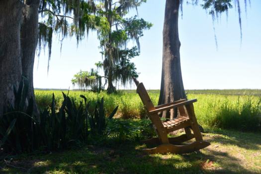 Orlando - Wild Florida