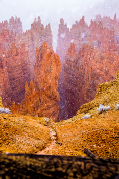 Bryce Canyon National Park - Bryce canyon in the snow
