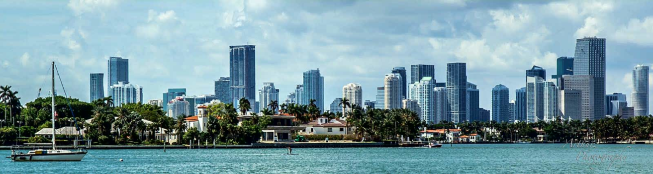 Florida - Miami skyline