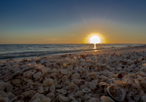 Florida - Sanibel Island