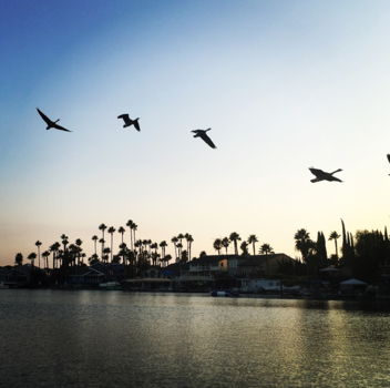 California - Come fly with me