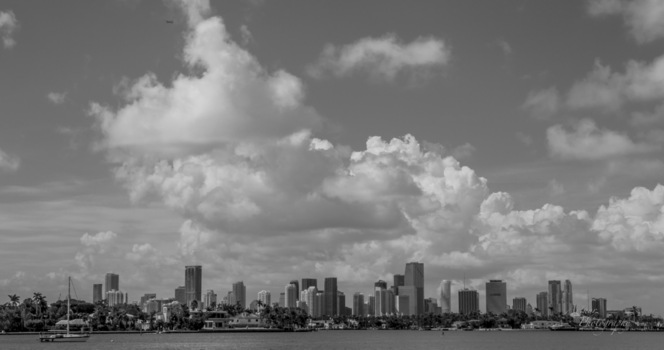 Miami Beach - Skyline Miami