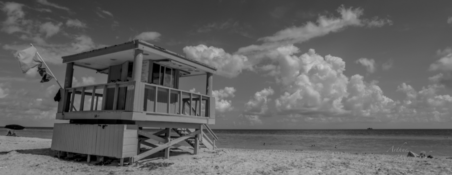 Miami Beach - Lifewatchtower | Miami Beach