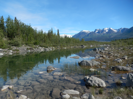 Alaska - Omgeving McCarthy