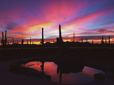 Arizona - Arizona sunset