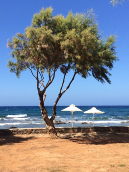 Graceland - Mooi uitzicht