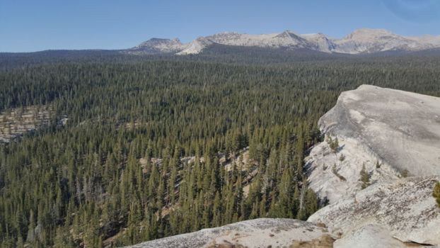 Yosemite National Park - Yosemite National Park | CA, USA