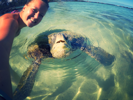 Hawaii - Nieuwe vrienden gemaakt in de wilde natuur