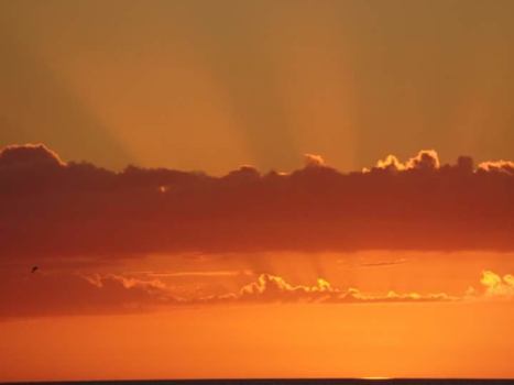 Florida - Net kitsch maar dan echt